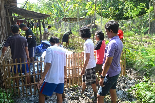 Proses pembuatan tempat budidaya ikan lele di desa Ringin Kidul